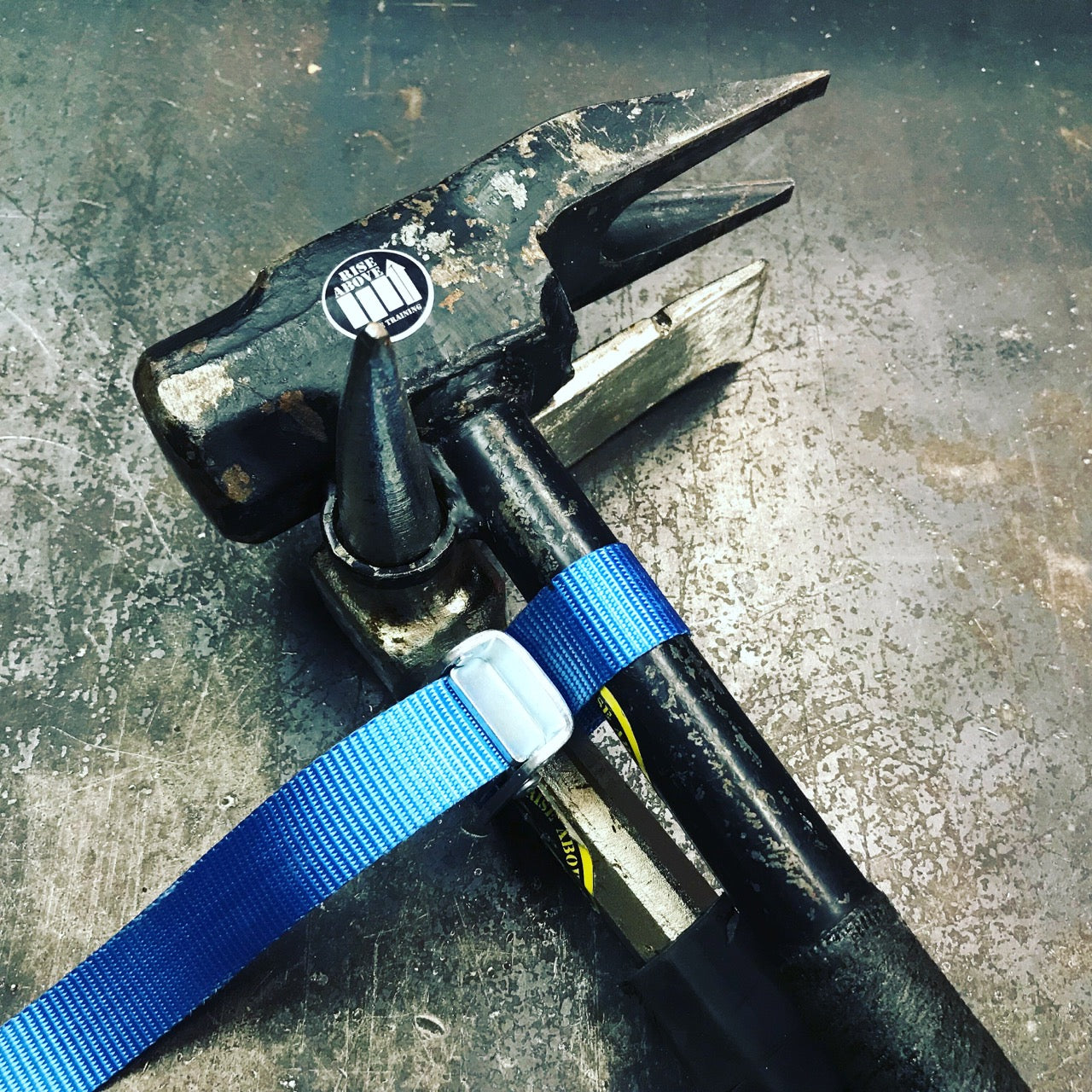PIG-IRONS Strap