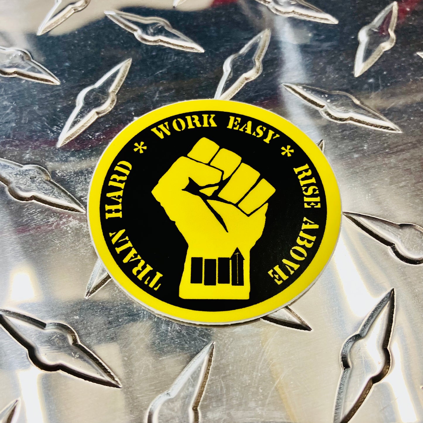 FIST 4" Window Sticker