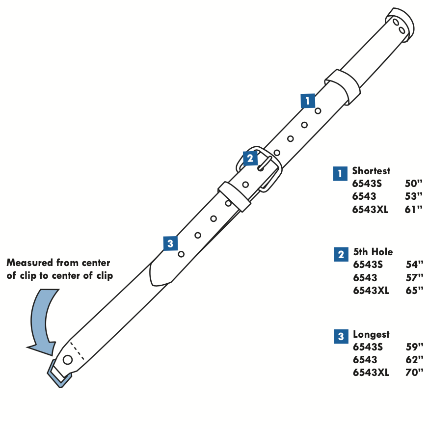 Radio Strap
